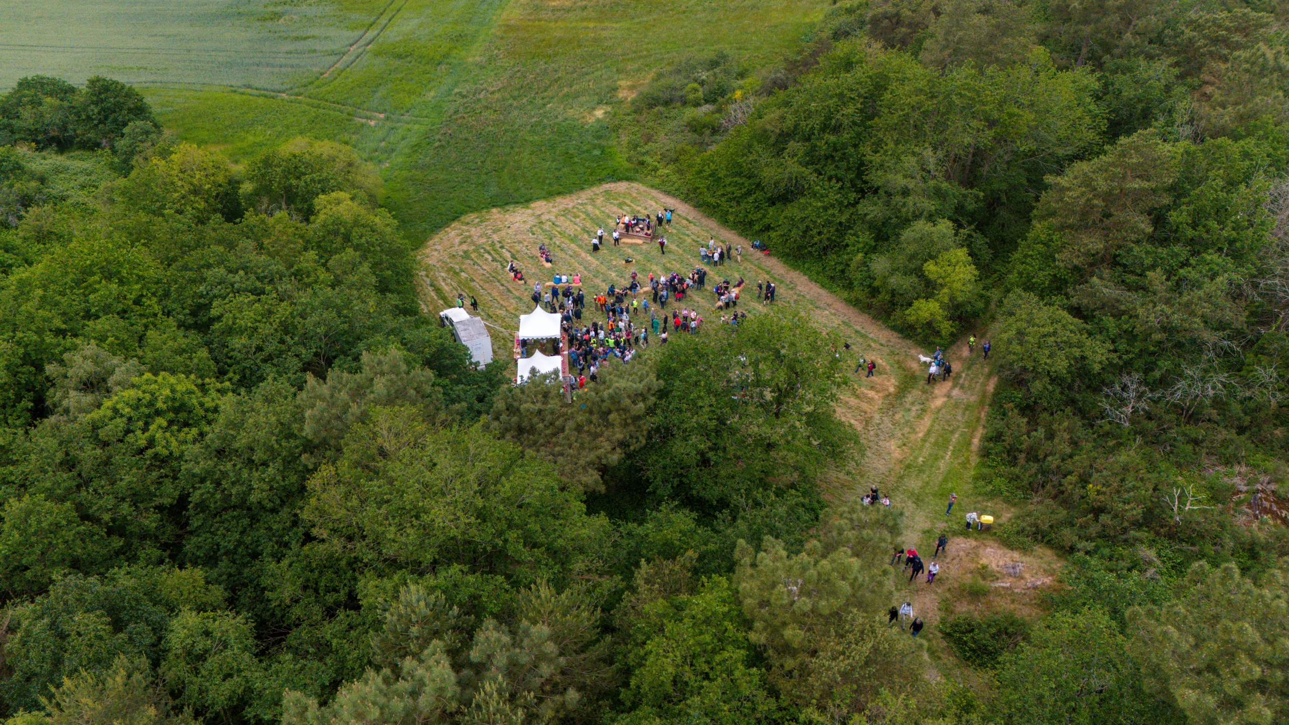 DJI_20250524172729_0045_D